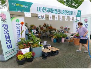 (사)한국백합생산자중앙연합회